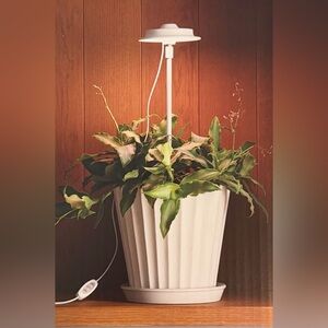 NIB Hearth & Hand Magnolia Plant Grow Light - Dimmable - Sour Cream White